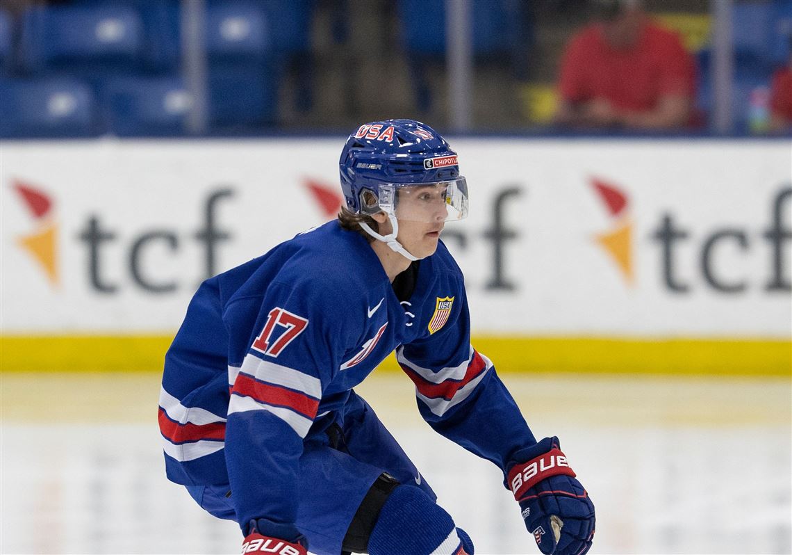 Perrysburg's Tanner Dickinson earns spot on Team USA national junior hockey  team