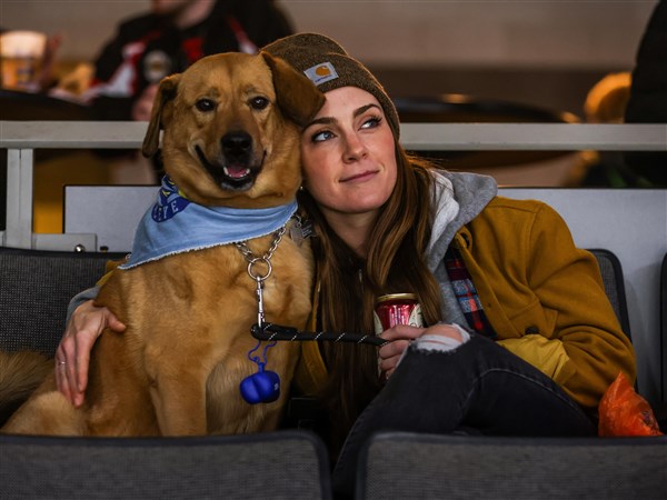 photo-gallery-paws-and-pucks-the-blade
