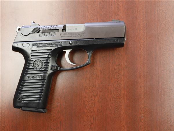 Michigan bill would require concealed gun processing in emergencies