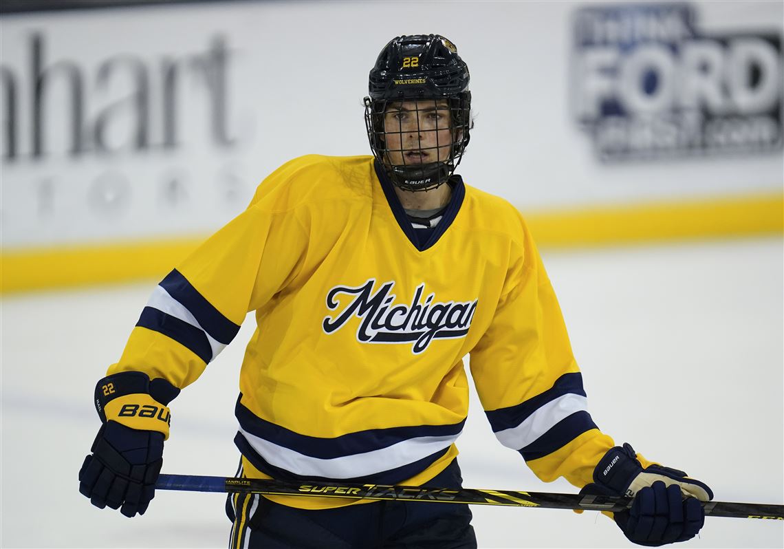 Michigan mens hockey team advances in NCAA tournament The Blade photo