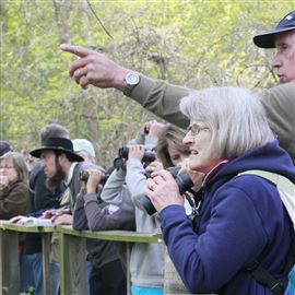 Before the pandemic derailed the 2020 festival and forced the 2021 edition to go virtual, the Biggest Week in American Birding was a huge magnet for birders from across the globe, bringing thousands to the region.