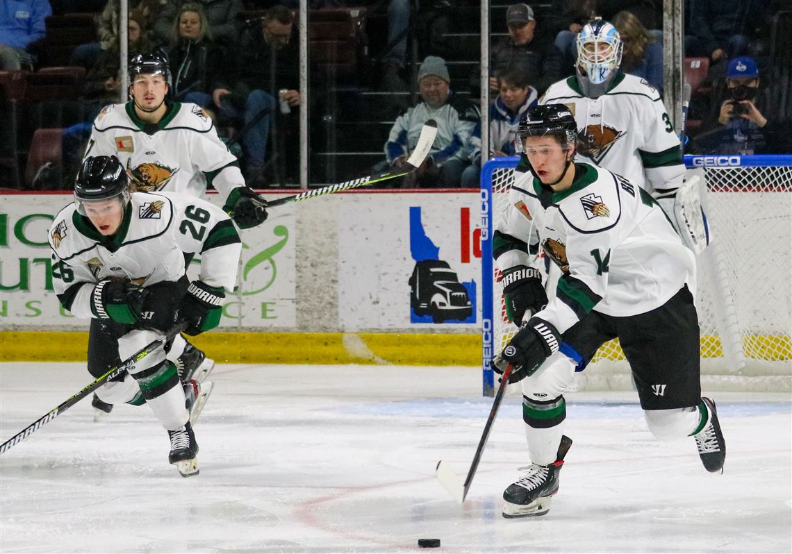 Meet the Utah Grizzlies 6 things to know about the Walleyes next opponent The Blade