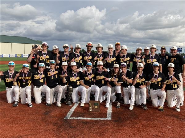 Northview baseball wins first-ever district championship