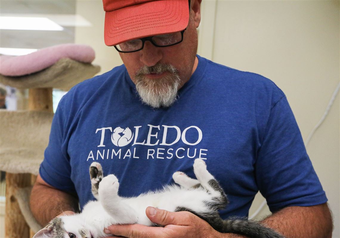 All paws on deck: Toledo's animal shelters are 'maxed out' | The Blade