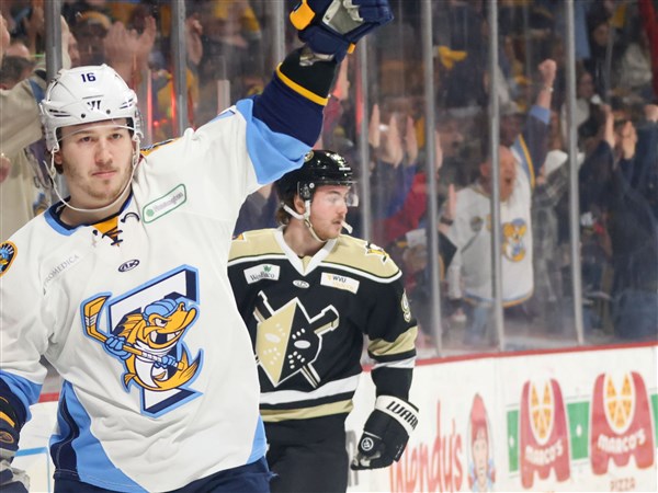 Walleye notebook: Toledo bringing back playoff scoring leader Hawkins ...