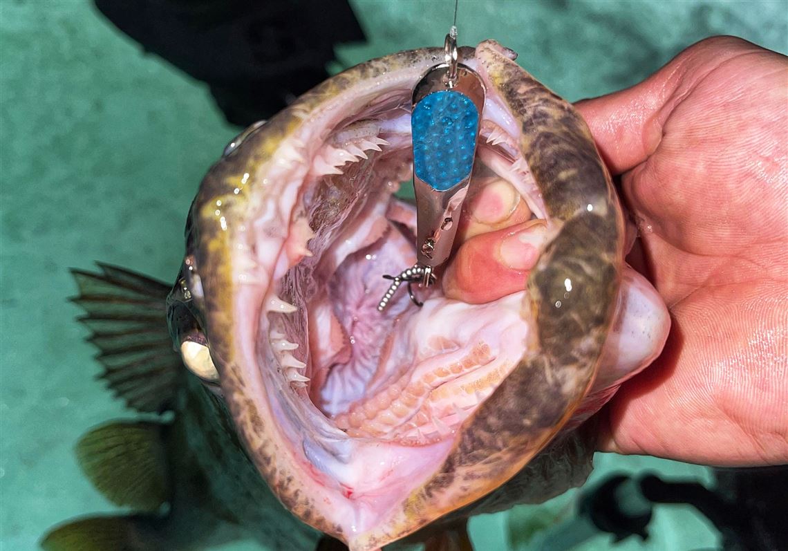 decoy fishing lures Iron Walleye Subscription Program quality solid brass spoons have a heavy DECOY Fishing Lures Connection SPLIT