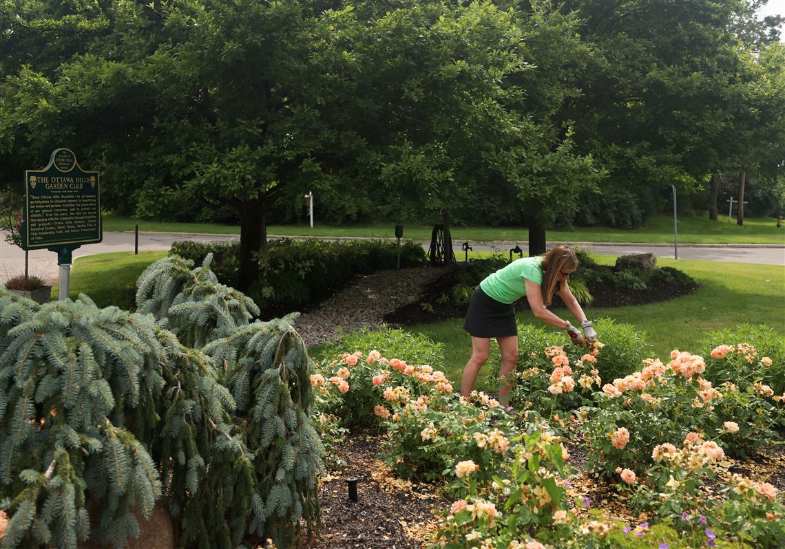 Ottawa Hills Garden Club, Country picture