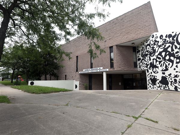 Boys summit dedicated to ending domestic violence against women and girls