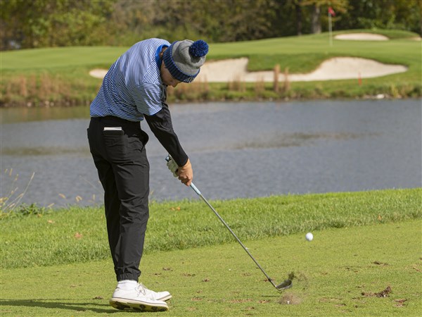Anthony Wayne boys golf off to scorching start | The Blade