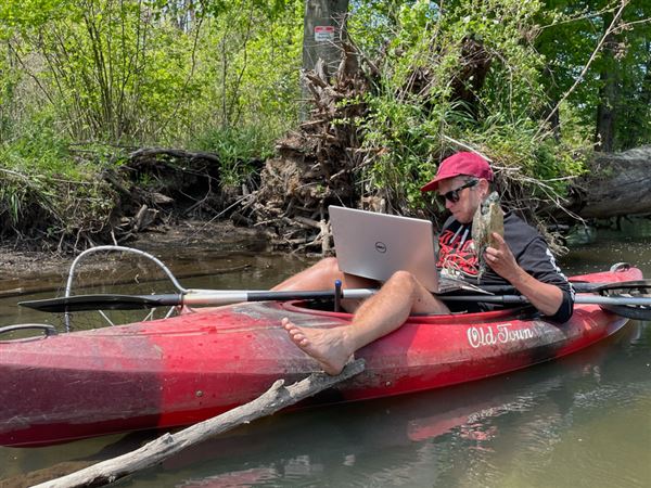 Hard work done to save wildlife injured by oil spills can pay off, UT study suggests