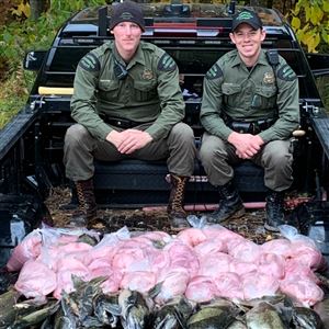 Michigan DNR Conservation Officers Scott MacNeill, left, and Josiah Killingbeck recently cited poachers from Colorado who had taken more than 460 pounds of salmon from the Manistee River. The illegally taken fish were seized and donated to needy families.  (MDNR)