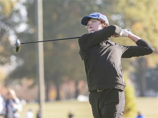 Anthony Wayne boys finish 5th, Perrysburg's Deal places 11th at ...
