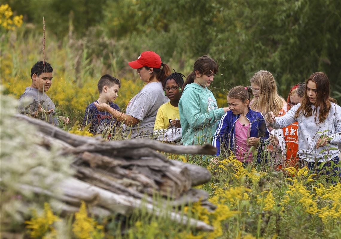 protecting food crops