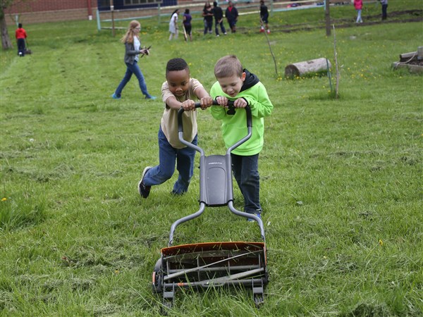 city-takes-part-in-electric-lawn-mower-rebate-program-the-blade