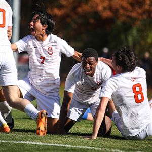 Sylvania Southview Cougars scream in celebration after scoring the first and only goal in overtime during the DI district soccer finals at Southview High School in Sylvania, Ohio on Oct. 29. The goal secured the win for the team to advance to regionals.