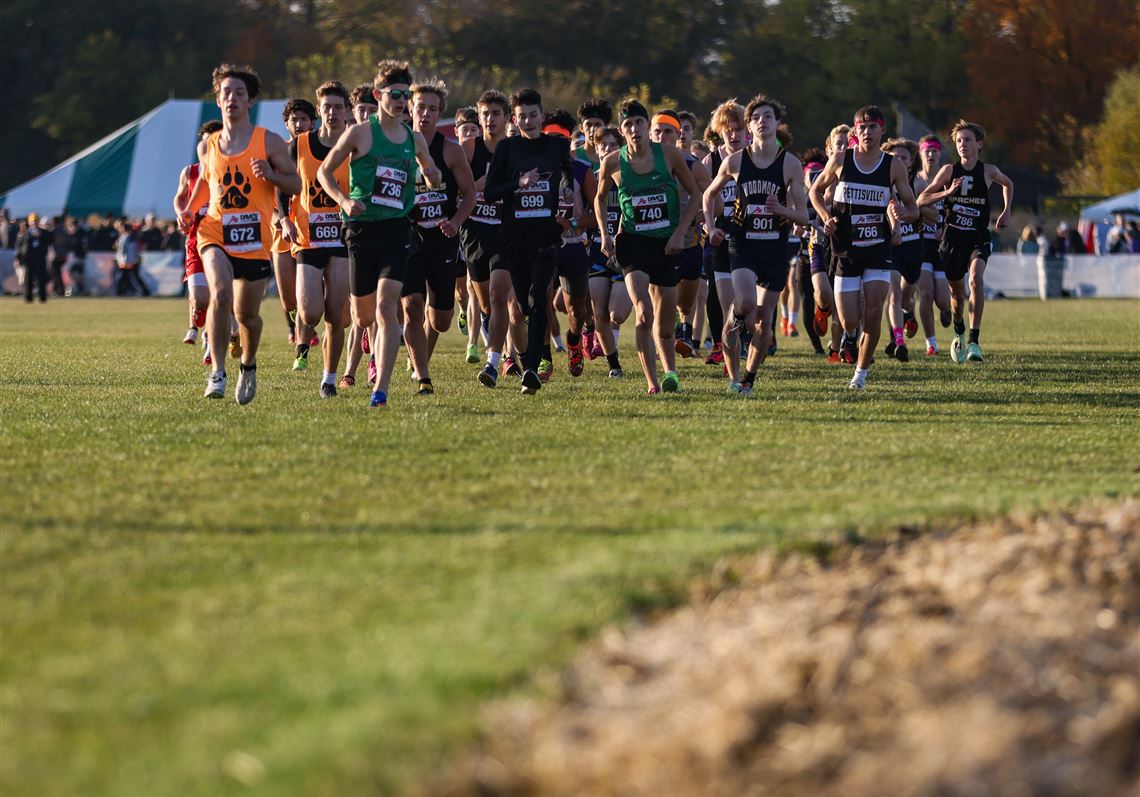 2022 Division III qualifiers image