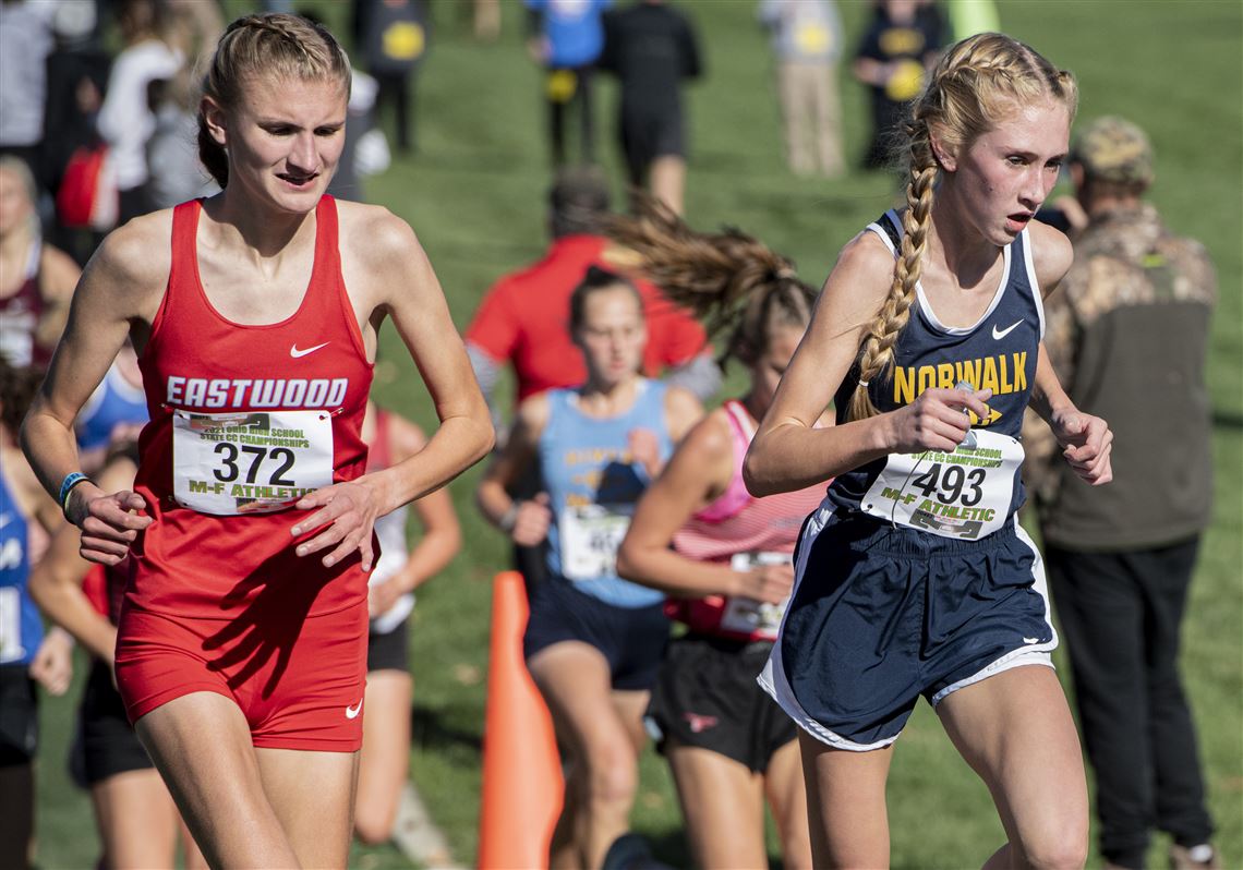 2022 Division II qualifiers image