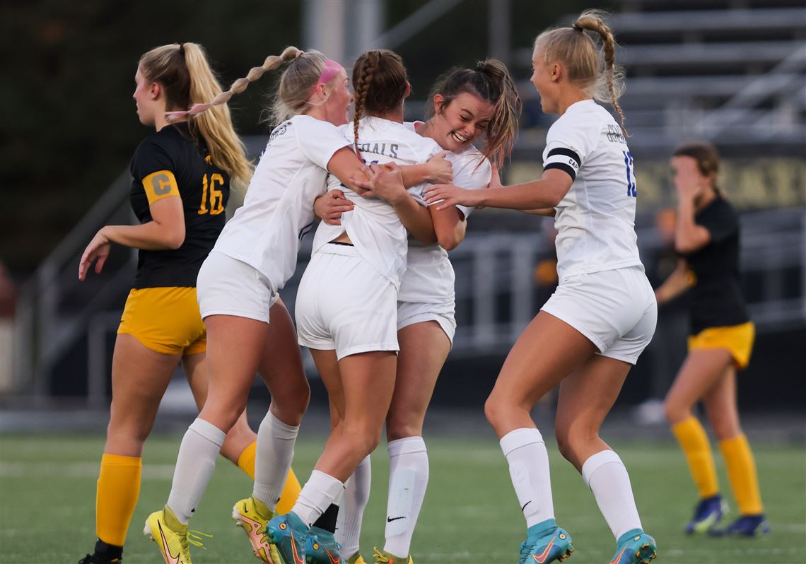 Simons goal puts Anthony Wayne past