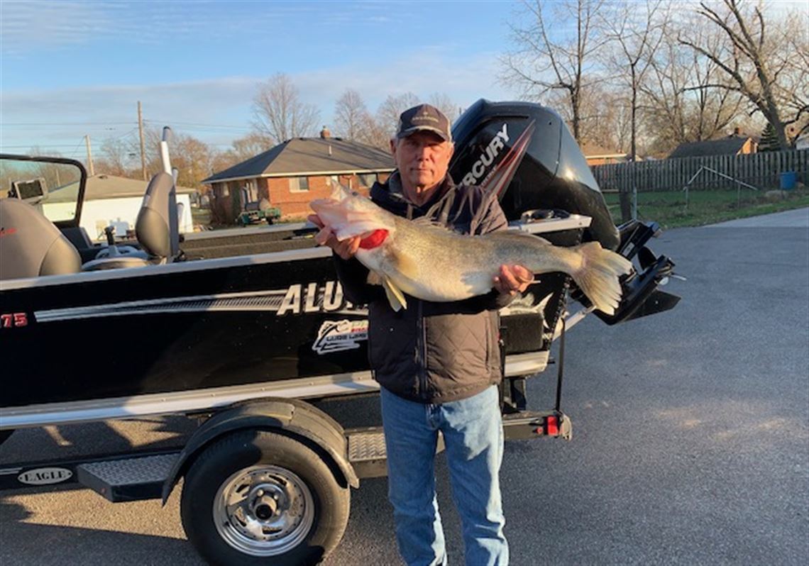 Monster walleye from Olean Creek, Sports