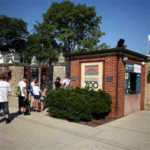 People line up at the Broadway Street gate before opening at the Toledo Zoo, July 15, 2019.