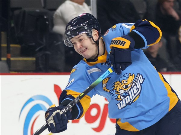 Hawk-Eye: Walleye forward Hawkins sets franchise record with elite ...