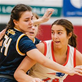 Toledo Christian girls advance to Division IV basketball state ...