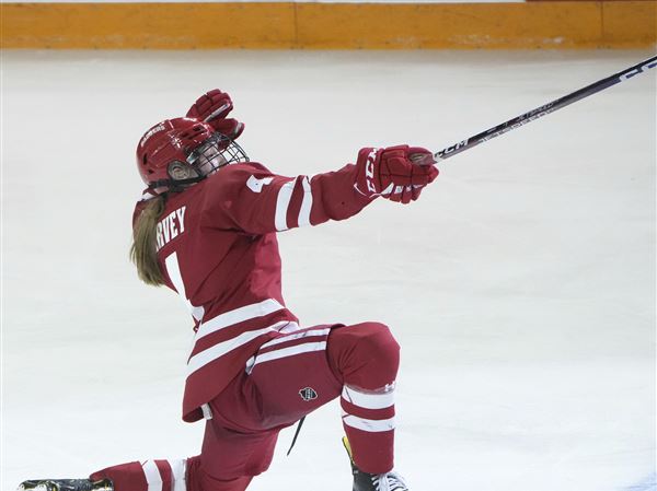 Wisconsin women blank Ohio State, win 7th NCAA hockey title