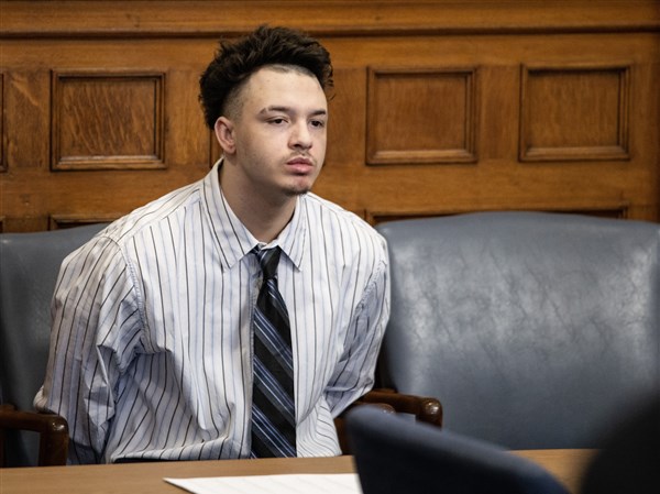 Two enter involuntary manslaughter pleas in East Toledo double homicide ...