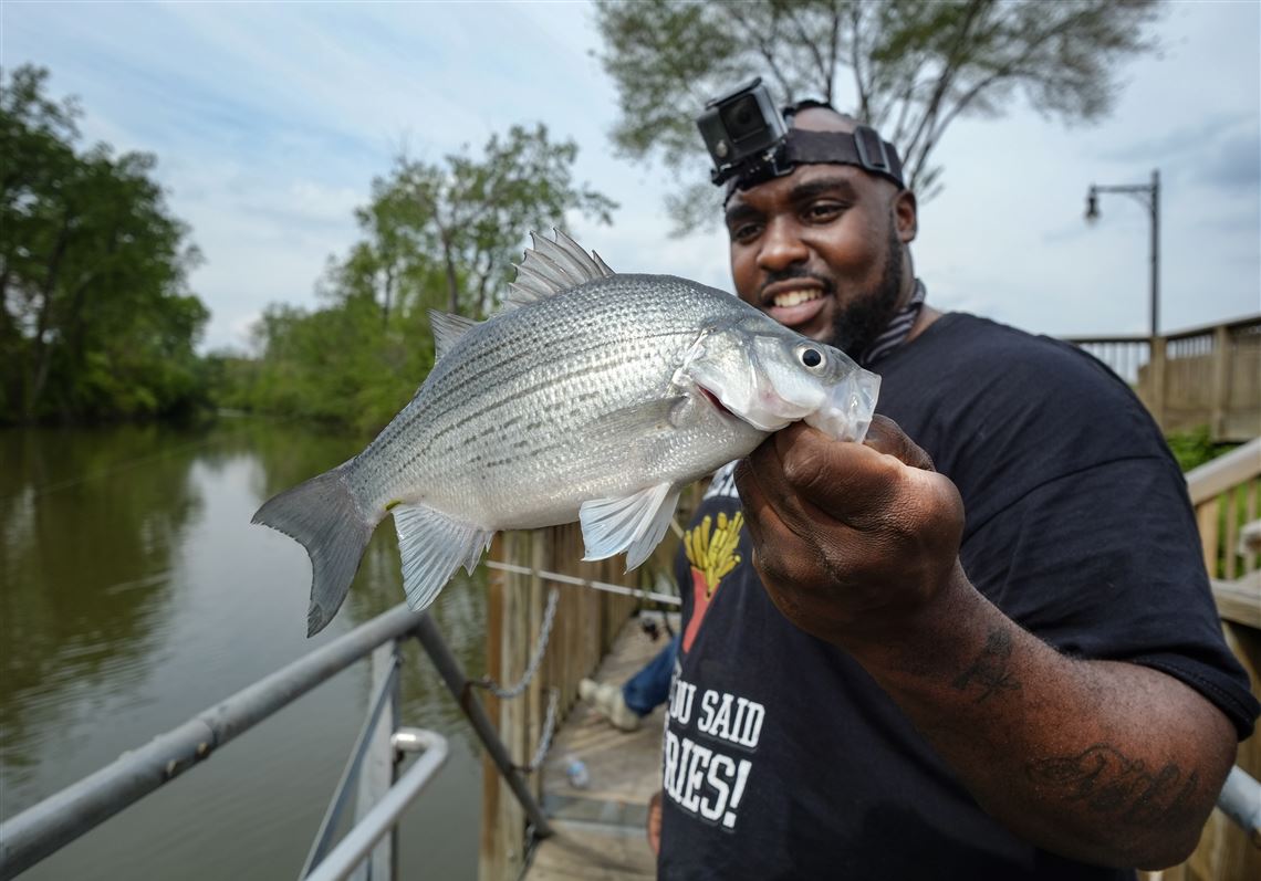 Fishing for White Bass in Lakes