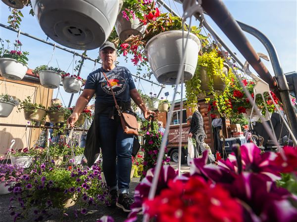Photo Gallery: 34th annual Flower Day Weekend at Toledo Farmers Market