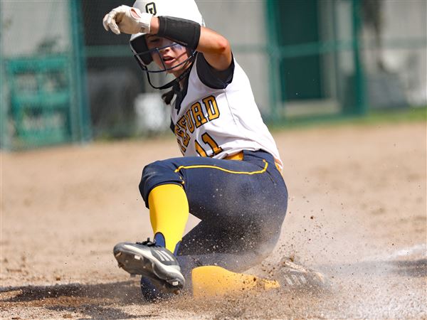 Whiteford's VanBrandt named Michigan's Miss Softball for position players