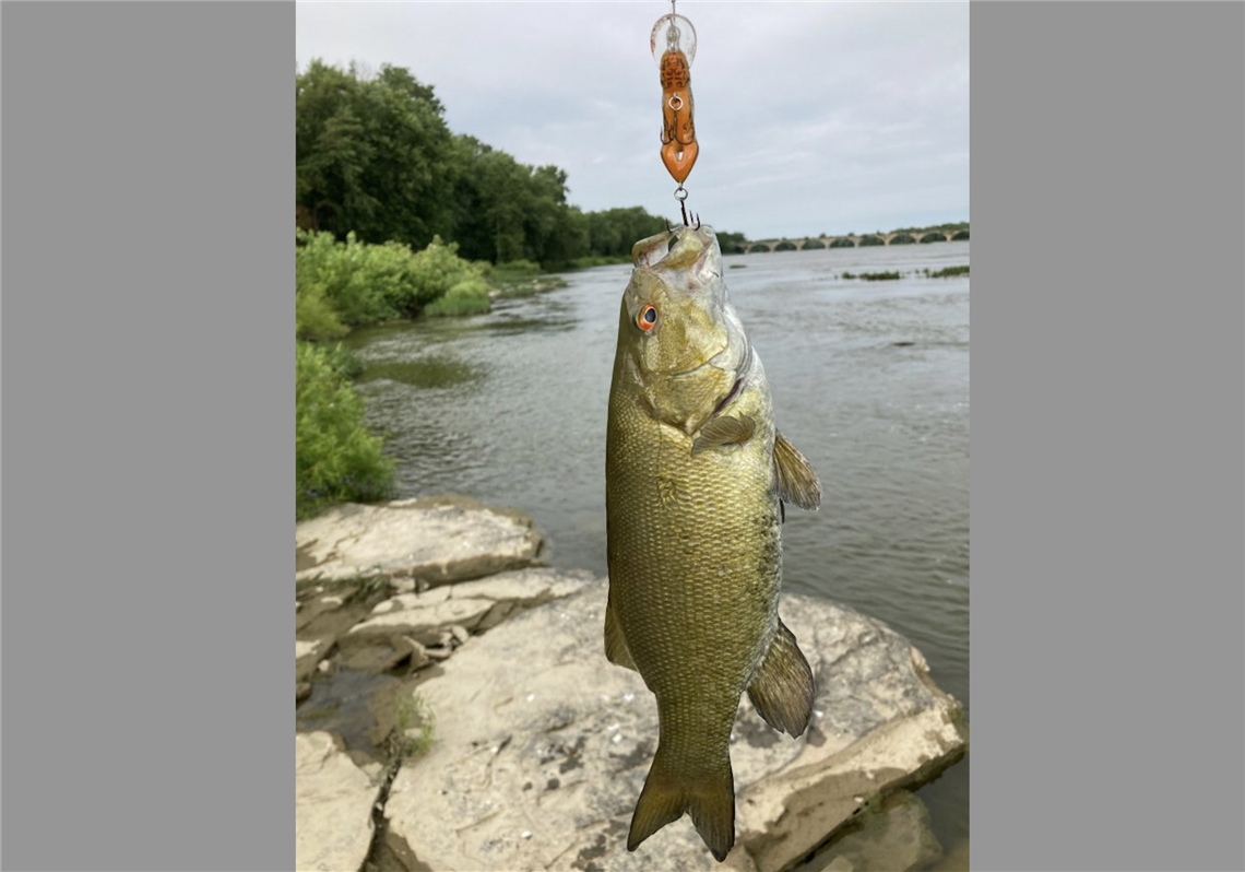 Blade Fishing Report: Variety spices up fishing on the Maumee