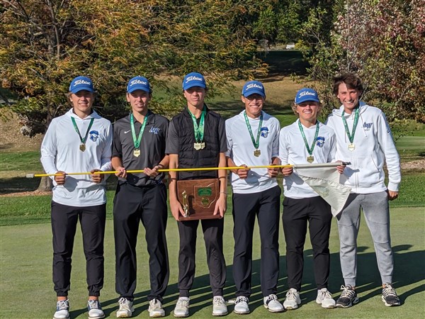 Anthony Wayne boys golf wins third straight D-I district title | The Blade