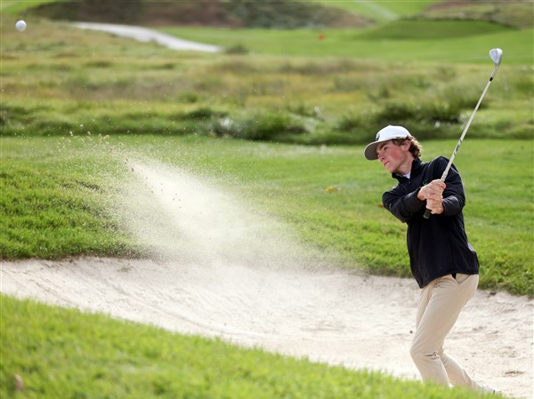 Ottawa Hills' Swigart tops D-II boys state golf leaderboard after first ...