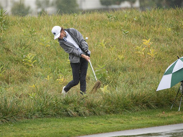 Ottawa Hills' Swigart, Archbold's Roth tie for fifth at D-II boys state ...