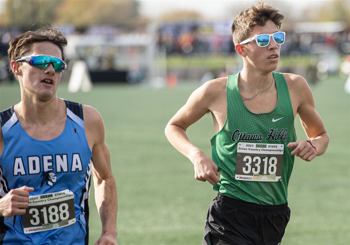 Area boys cross country runners compete in state championship