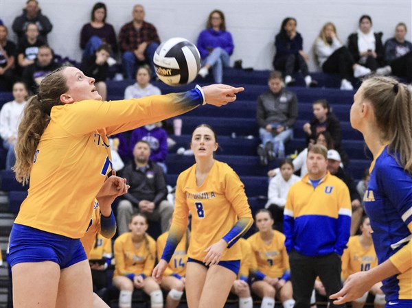 St. Ursula set for 13th trip to state volleyball final four
