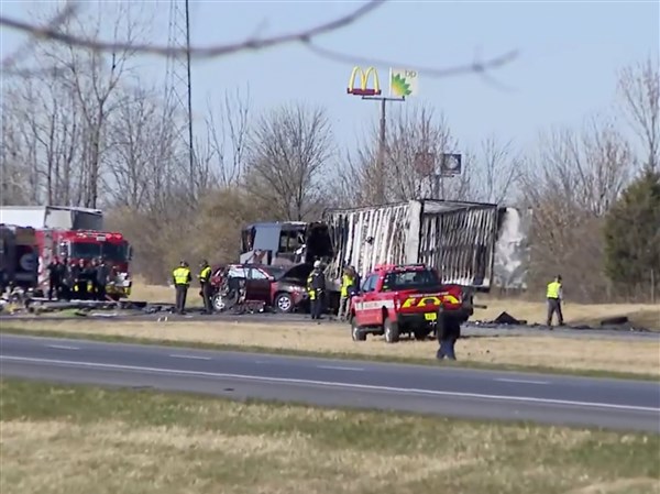 Police Say A Cicada Is Responsible For A Car Crash In Ohio