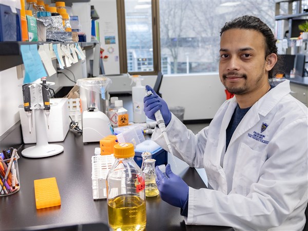 The Forgotten Memorial: Uncovering the Stories Behind Toledo Blade Death Notices