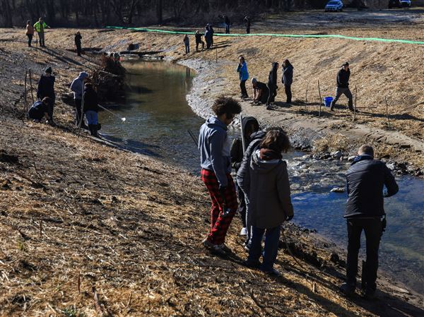 TPS students help rehab watershed