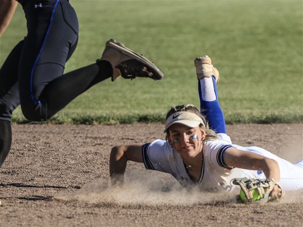 Anthony Wayne 3rd, Springfield 6th in 1st state softball poll