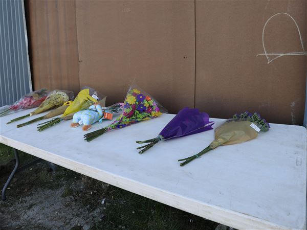 Community grieves for children killed at birthday party