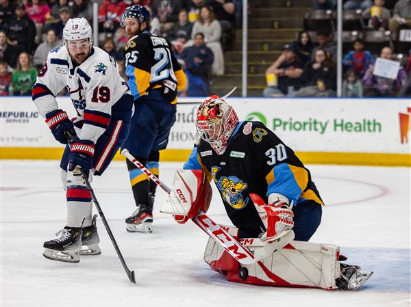 Walleye double up Kalamazoo 4-2 in Game 4, sweep the Wings in first-round playoff series