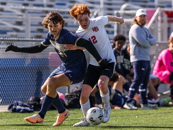 Where Toledo-area boys soccer teams are slotted in new 5-division alignment next fall