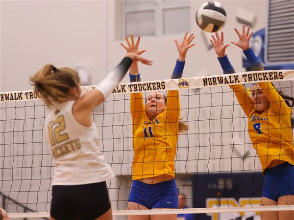 Where Toledo-area girls volleyball teams are slotted in new 7-division alignment next fall