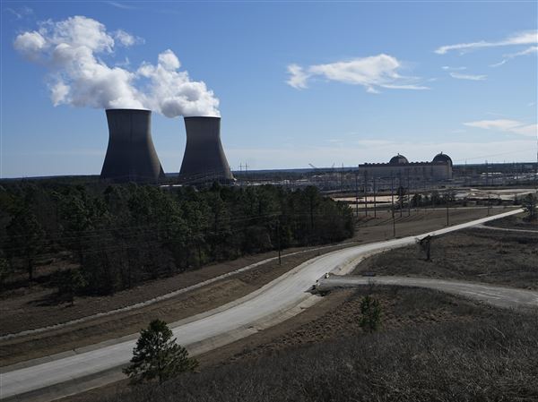 Chief lobbyist claims the world is seeing nuclear power 'with new eyes'