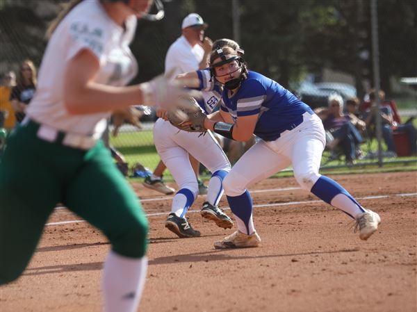 Division I softball: Anthony Wayne, Perrysburg face unranked foes in regional semifinals