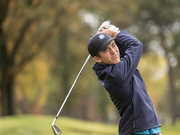 St. Francis team, Anthony Wayne's Distefano qualify for state golf ...