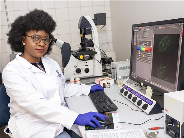 Why cells need brakes: Uncovering the role of MAD1 as a guardian ...