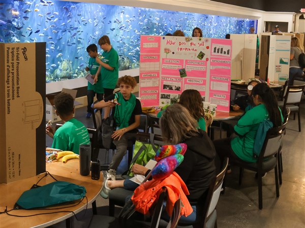 Elementary students show off their scientific research at symposium ...